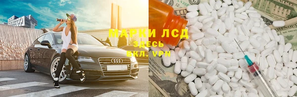 шишки Заволжье