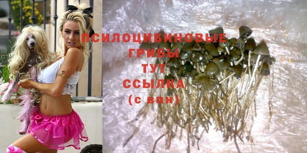 MDMA Заволжск