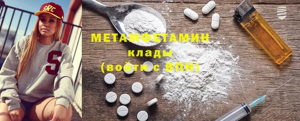 шишки Заволжье