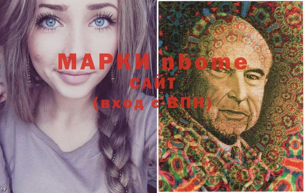 прущие грибы Елабуга