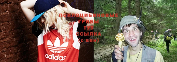 MDMA Заволжск