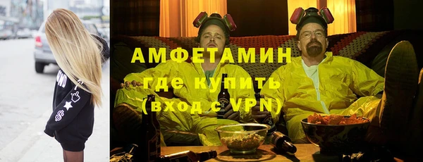 шишки Заволжье