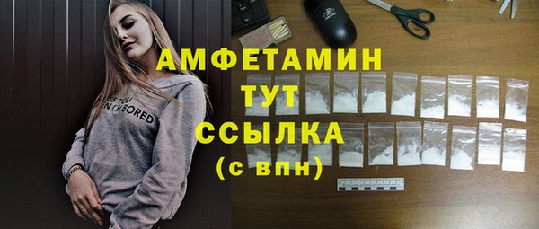 шишки Заволжье