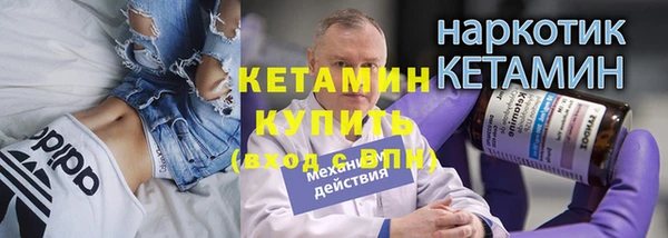 шишки Заволжье