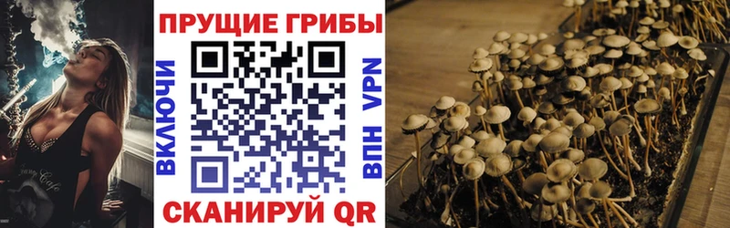 Галлюциногенные грибы MAGIC MUSHROOMS  Петухово 